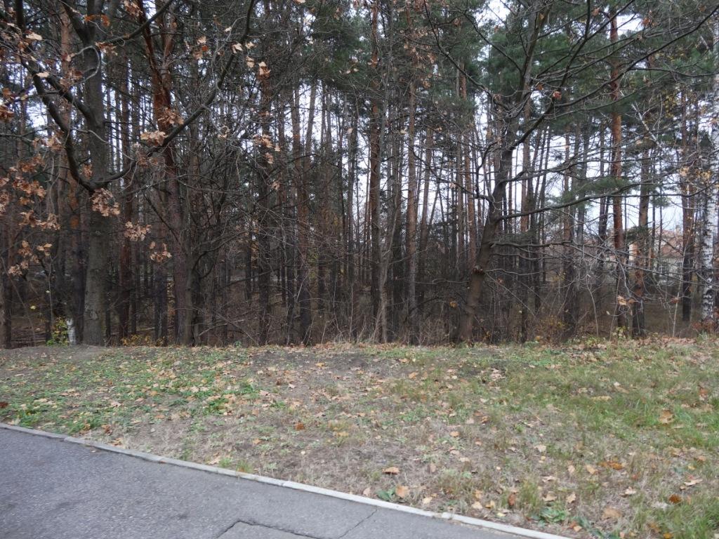 Продам участки г.Киев Голосеевский район – 1.6 га